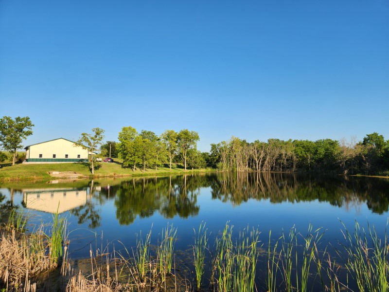 Wayne County, IA 104+/- primary image