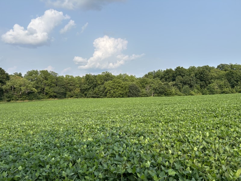 Appanoose County, IA 80+/- primary image