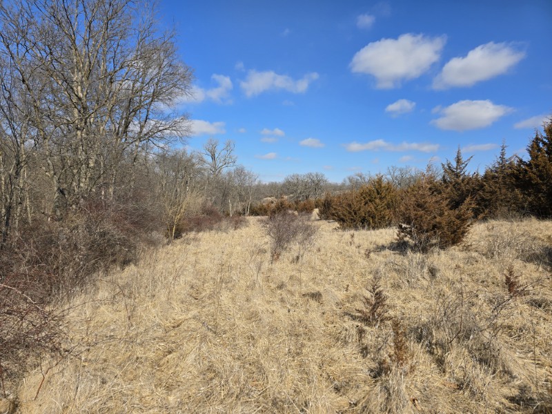 Listing photo 15
