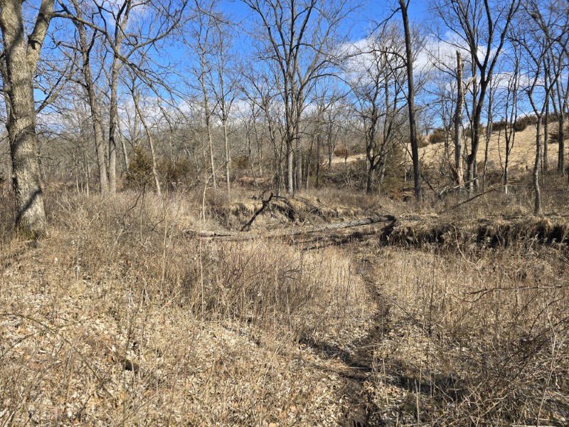 Listing photo 17