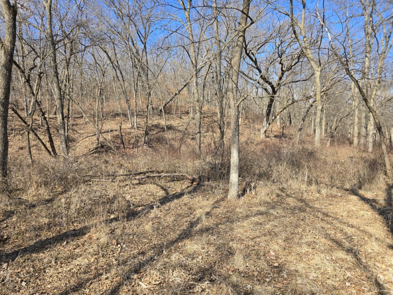 Listing photo 19