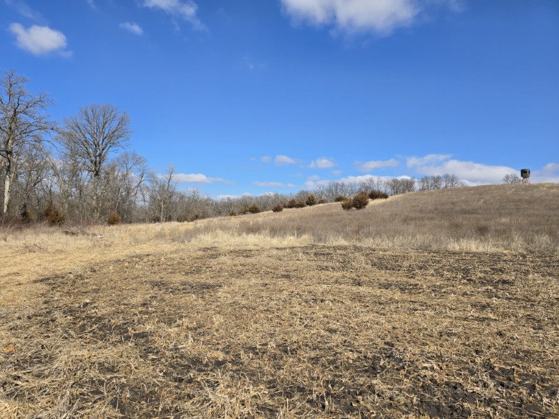 Listing photo 22