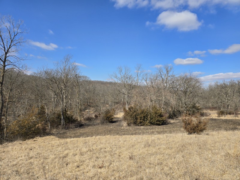 Listing photo 23