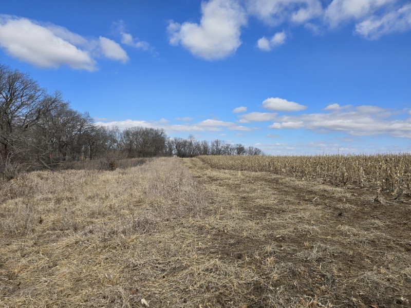 Listing photo 27