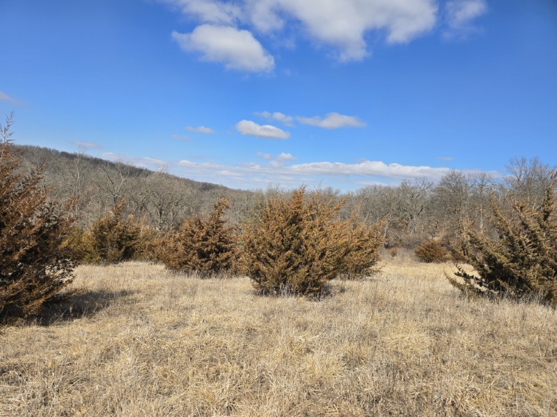 Listing photo 28