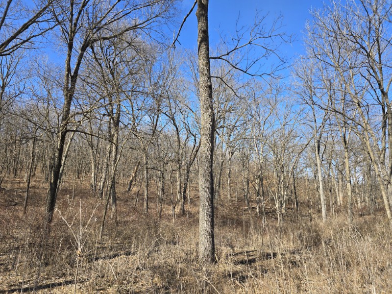 Listing photo 34
