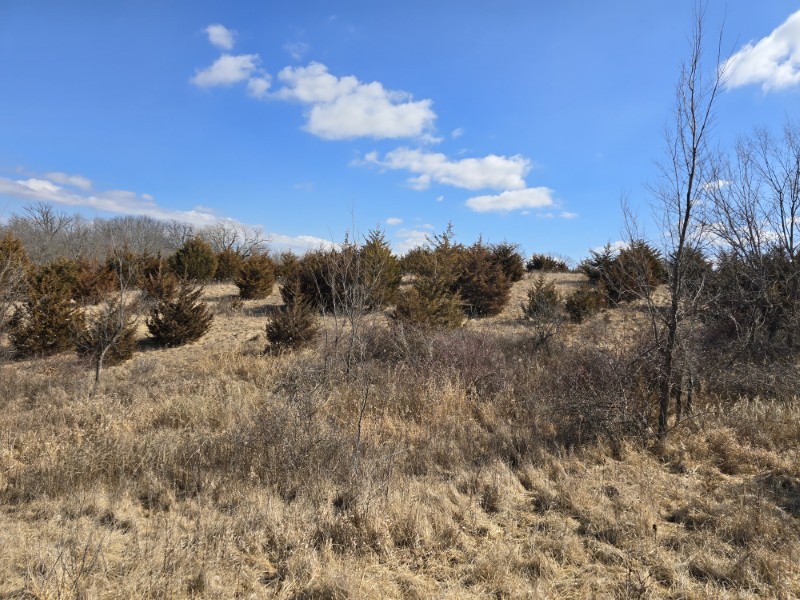 Listing photo 44