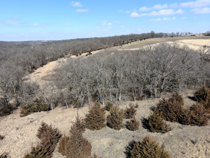 Listing photo 56