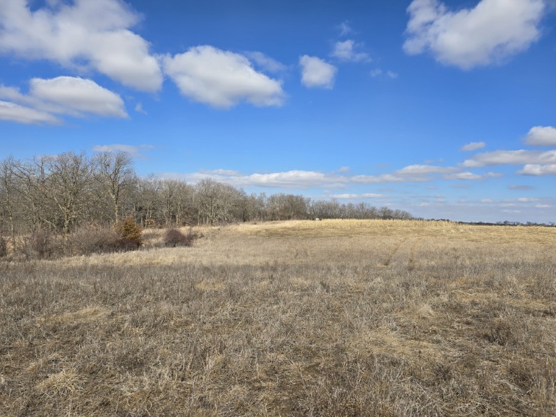 Listing photo 11