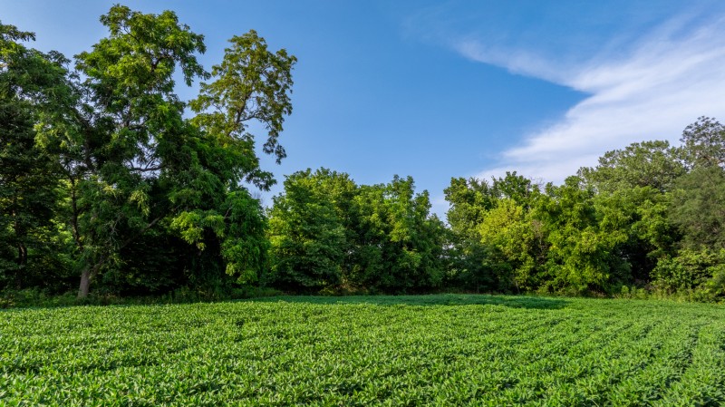 Harrison County, MO 1355+/- primary image