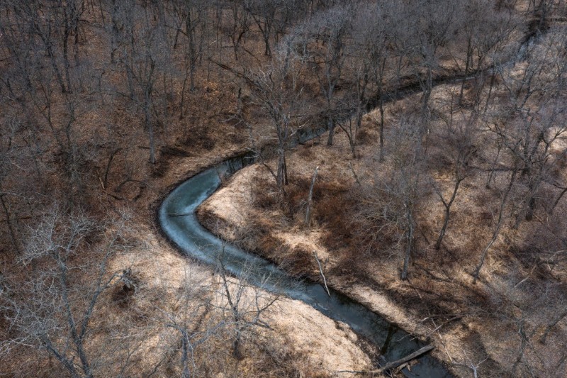 Wayne County, IA 160+/- primary image