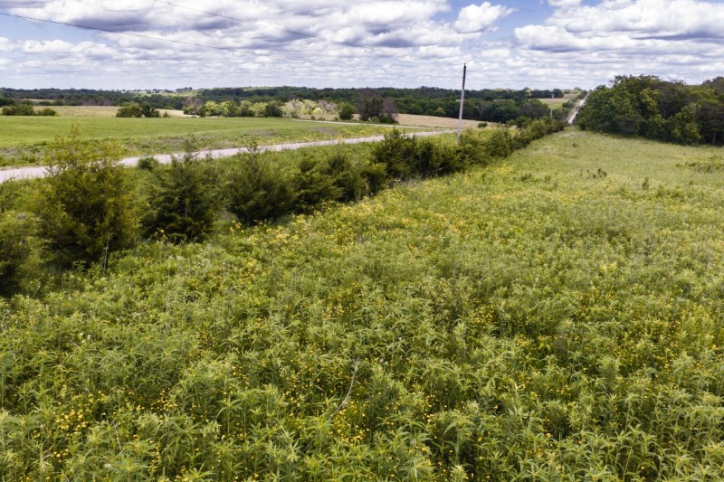 Listing photo 27