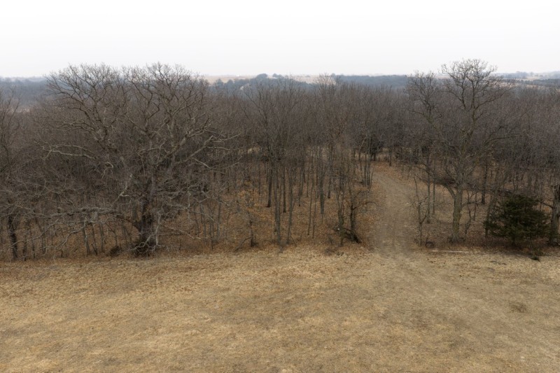 Decatur County, IA 165+/- primary image