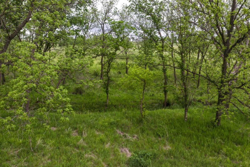 Listing photo 24