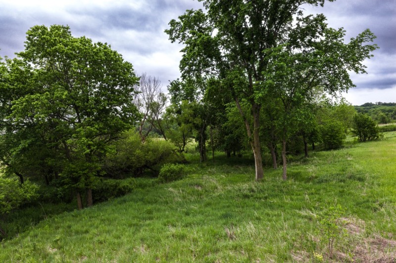 Listing photo 26