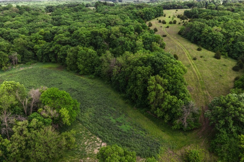 Listing photo 11