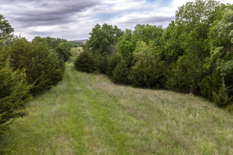 Listing photo 29