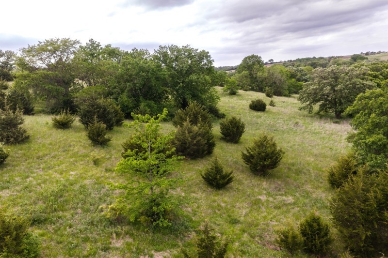 Listing photo 32
