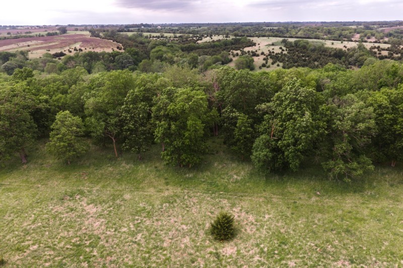 Listing photo 34