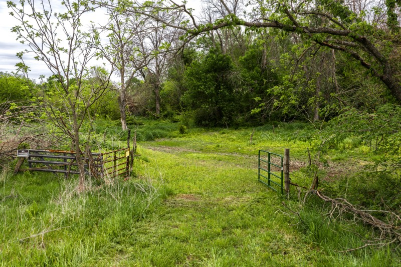 Listing photo 13