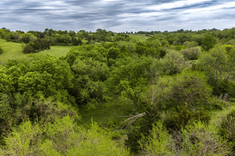 Listing photo 9
