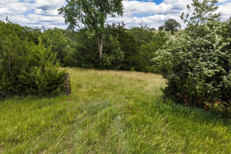 Listing photo 10
