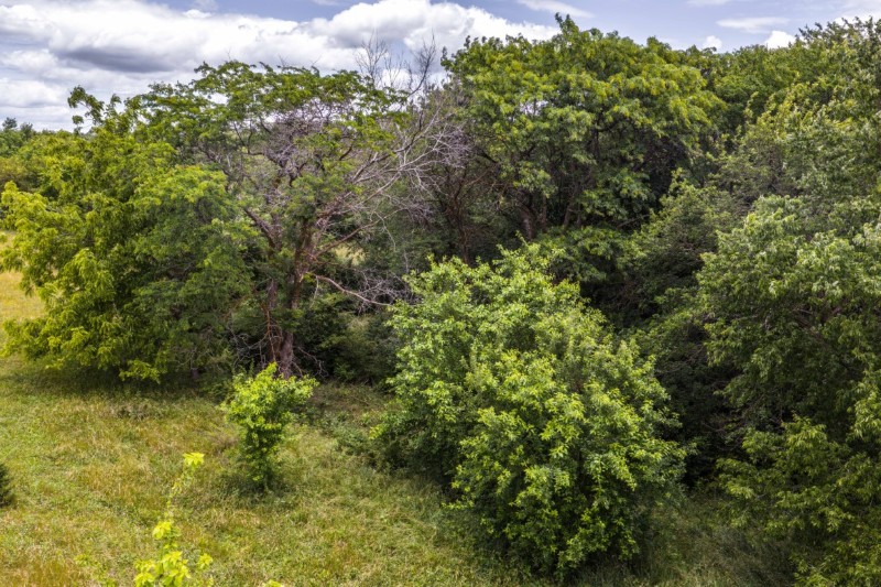 Listing photo 15