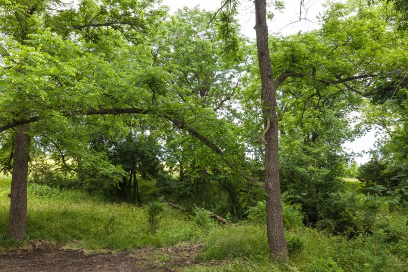 Listing photo 19
