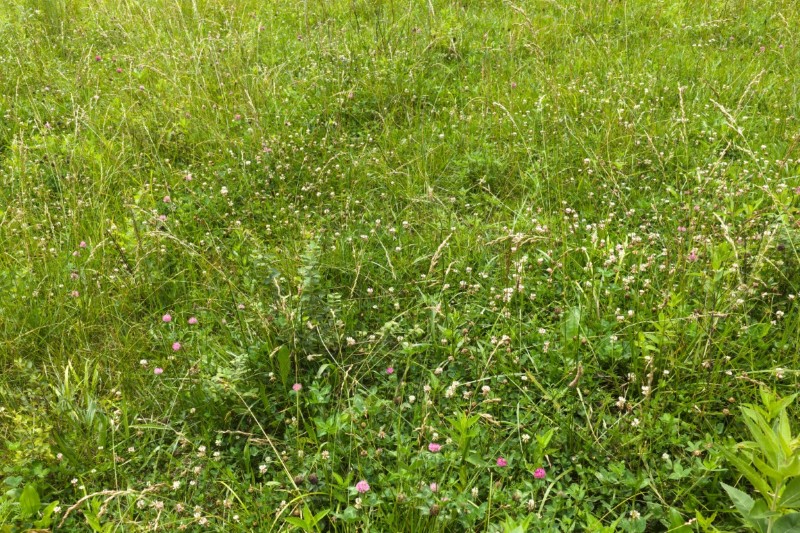 Listing photo 24