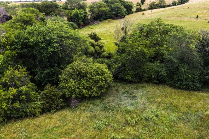 Listing photo 6