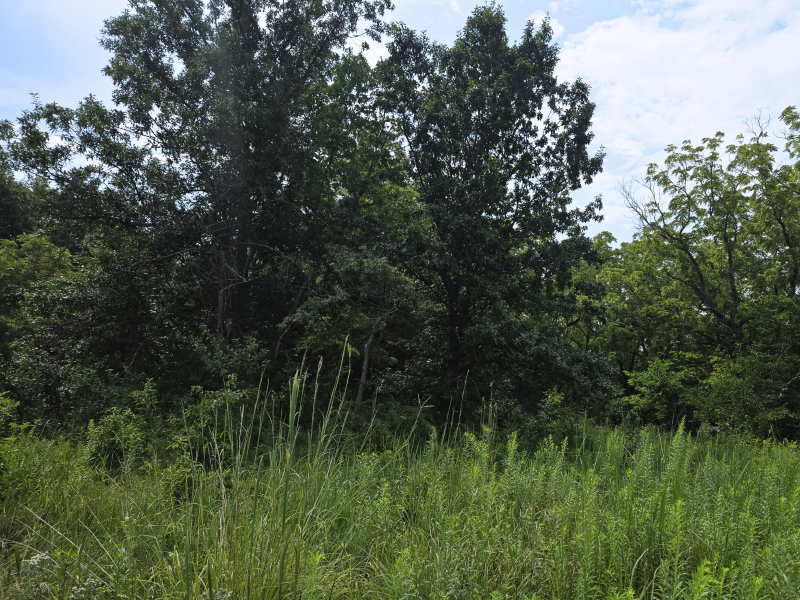 Listing photo 26
