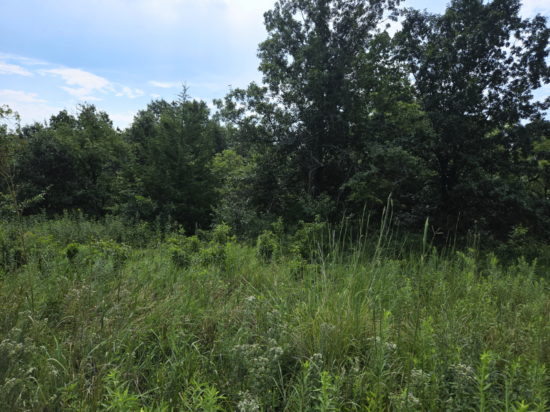 Listing photo 27