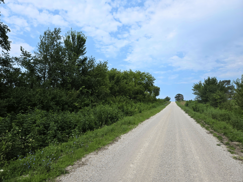 Listing photo 37