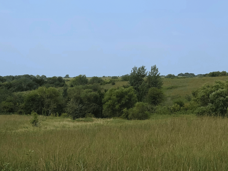 Listing photo 26