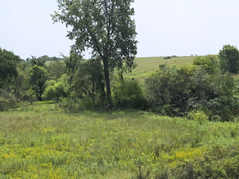 Listing photo 28