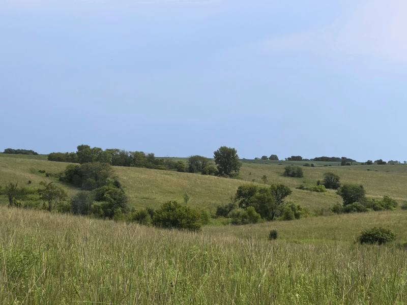 Listing photo 29