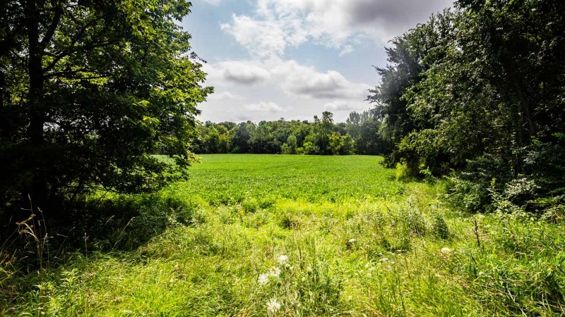 Listing photo 47